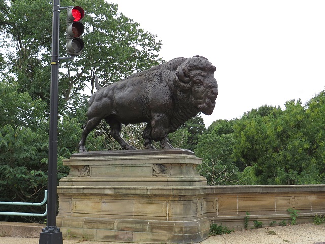 07-Dumbarton_Buffalo