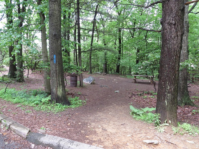 Entrance to the Blue Trail