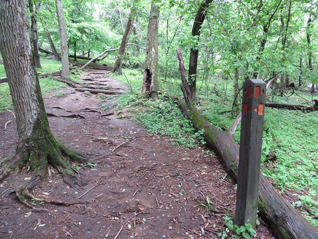 Red & Orange Trail junction